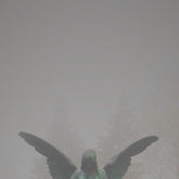 Jesu Music > Vinyl Records Jesu - Pity / Piety 9508777643563 AVCE65.1