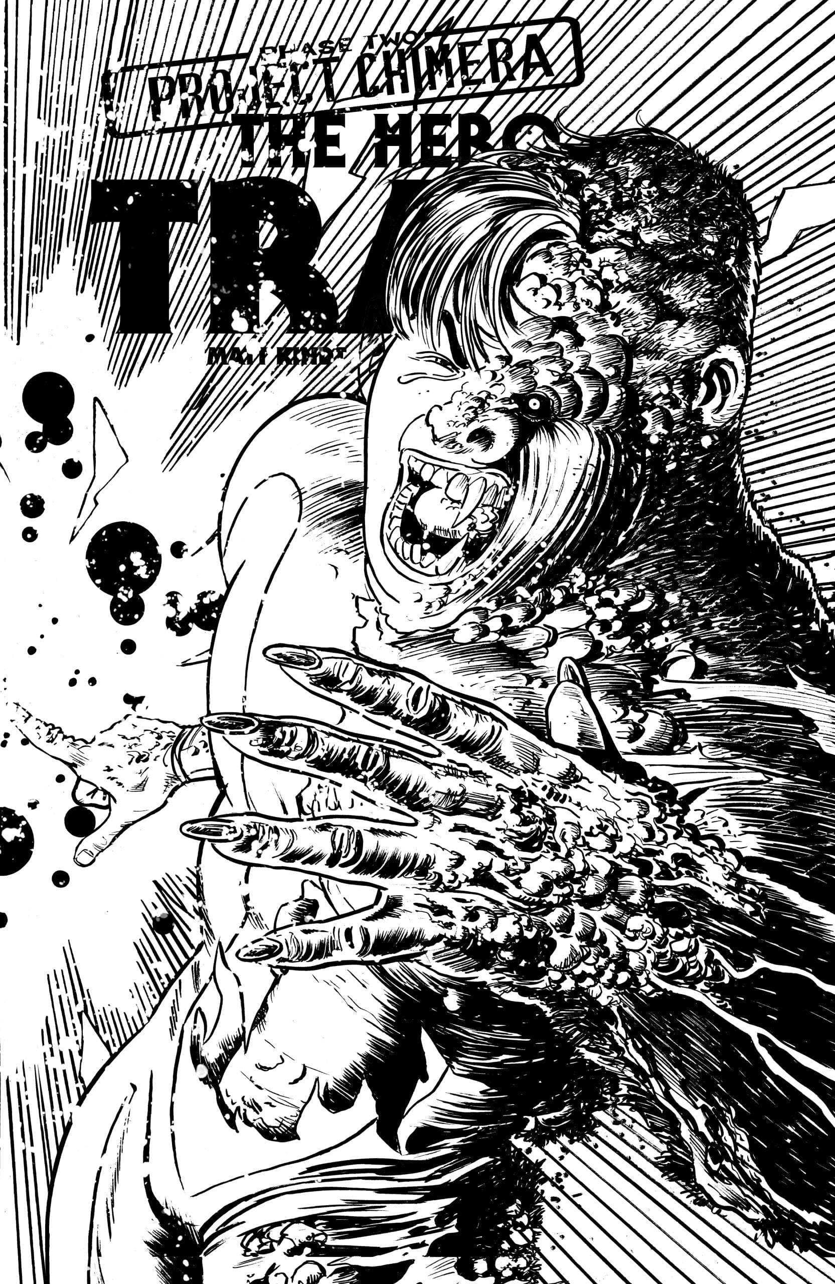 HERO TRADE PROJECT CHIMERA #2 (OF 2) CVR C INC 1:20 DAVID LAPHAM BW VAR