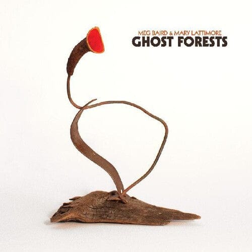 BAIRD,MEG / LATTIMORE,MARY Music > Vinyl Records Baird, Meg & Lattimore, Mary - Ghost Forests 711574922116 TLOB125A.1