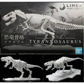 Bandai Model Kits > Other Model Kits Bandai: Tyrannosaurus Limex Skeleton Model-Kit 4573102616593 BAN/2569327