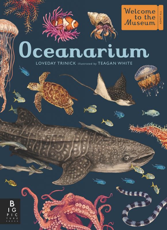 Big Picture Press Books > Smarts > Science Oceanarium: Welcome to the Museum - Hardcover 9781536223811 MC-33557