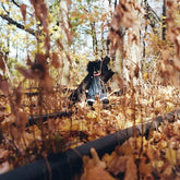 Billy Woods Music > Vinyl Records Billy Woods - Golliwog [Explicit Content] 850063560139 BWSZ804.1