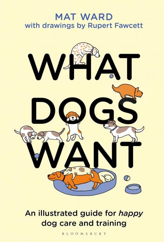 Bloomsbury Books > Art & Gifts > Pets What Dogs Want - Hardcover 9781526639950 MC-29283