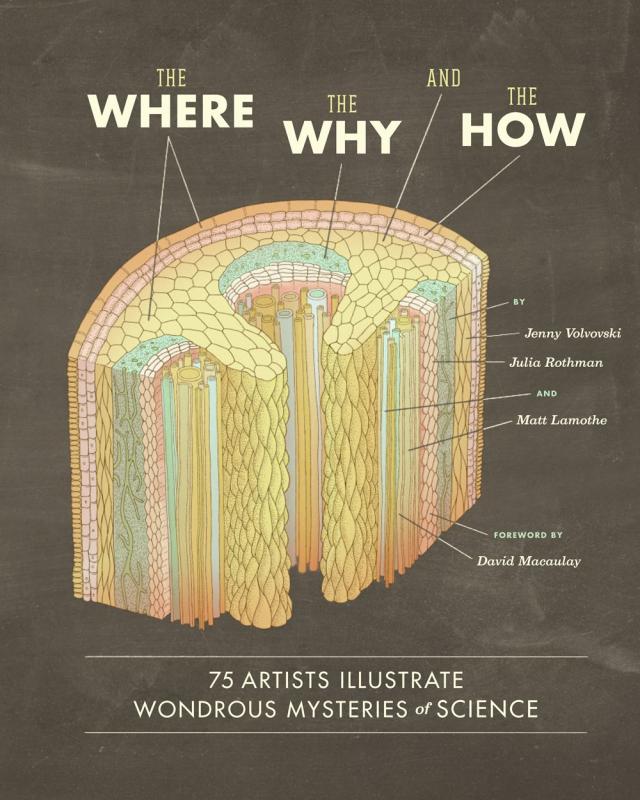 Bloomsbury Books > Smarts > Science The Where, the Why, and the How: 75 Artists Illustrate Wondrous Mysteries of Science - Hardcover 9781452108223 MC-29301