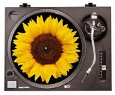 Bluescentric Music > Audio Equipment > Accessories Bluescentric: Graphic Turntable Slip Mat - Sunflower 840460723756 BUEC10307