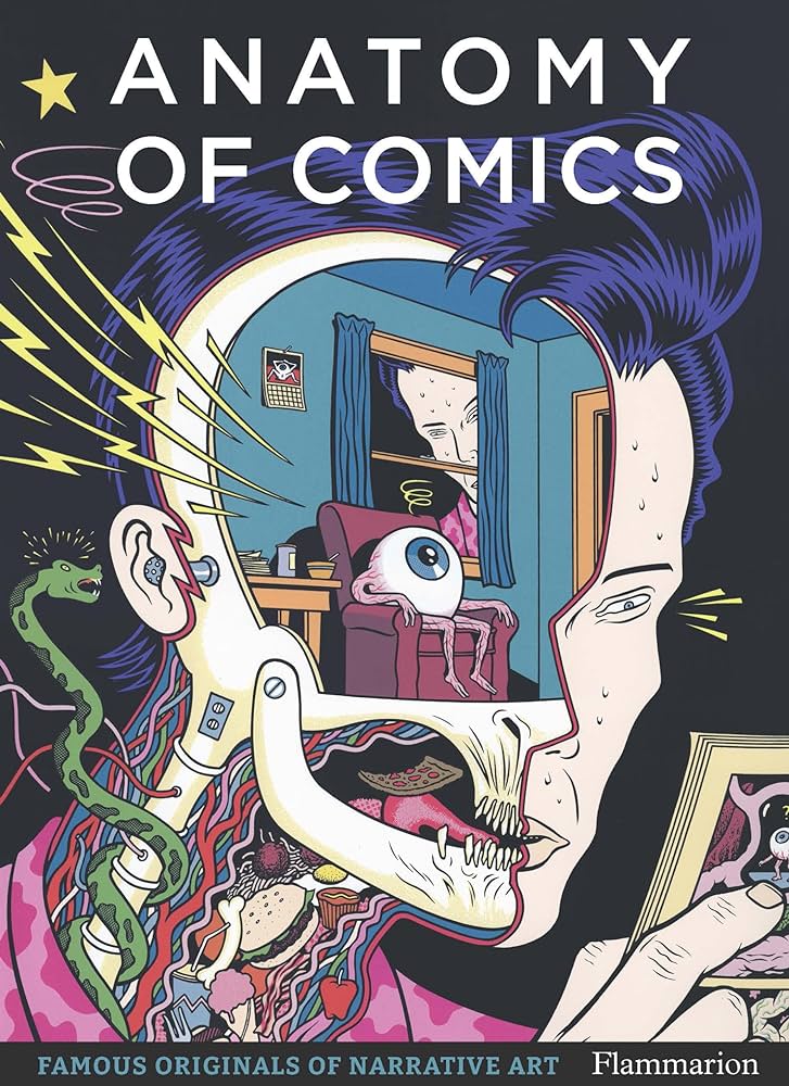 --- Books Anatomy of Comics 9782080281876