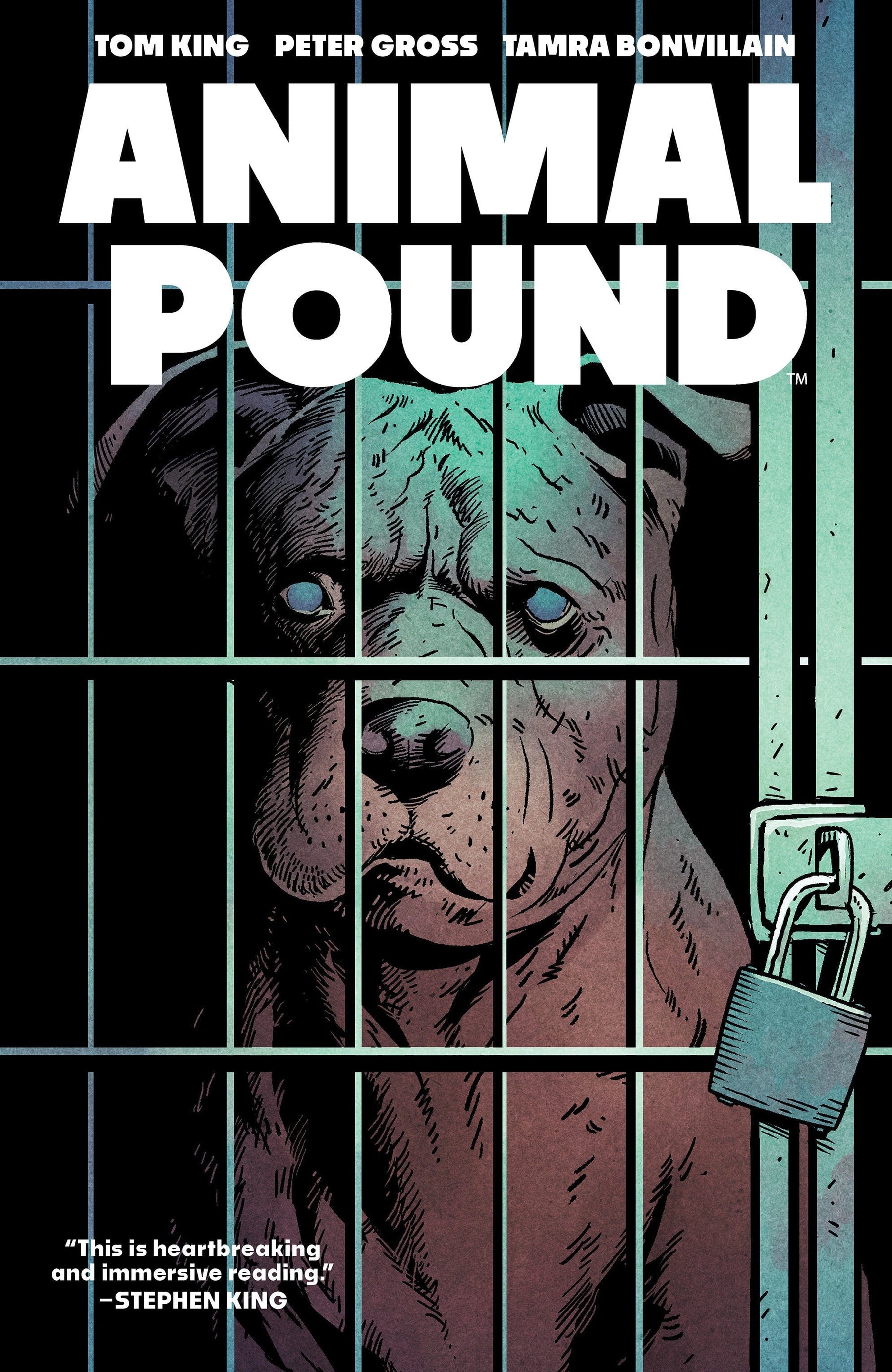 Boom Entertainment Graphic Novel Animal Pound 9798892155724 PRH-9798892155724