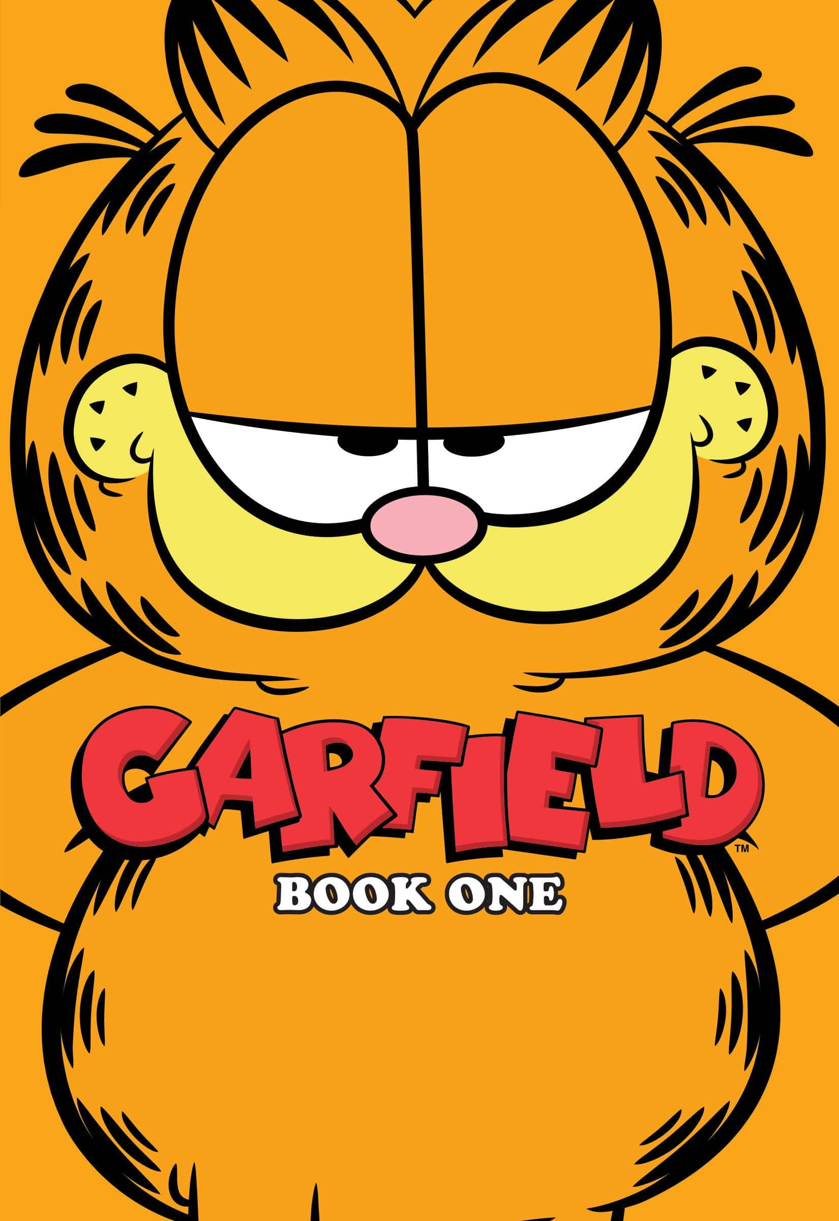 Boom Entertainment Graphic Novel Garfield Book One 9798892159319 PRH-9798892159319
