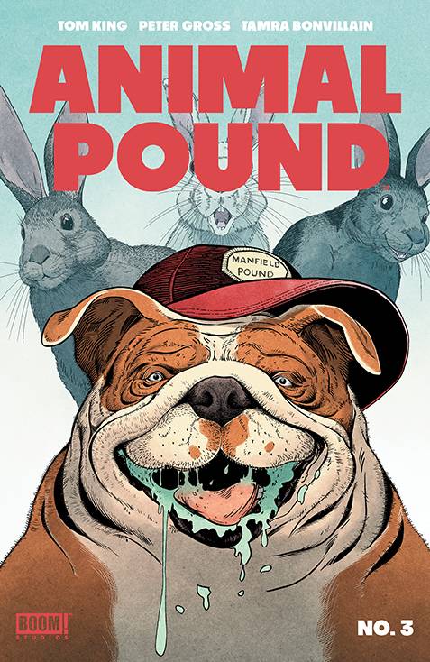 BOOM! STUDIOS Comic Books ANIMAL POUND #3 (OF 4) CVR A GROSS (MR) 84428401028303011 FEB240093