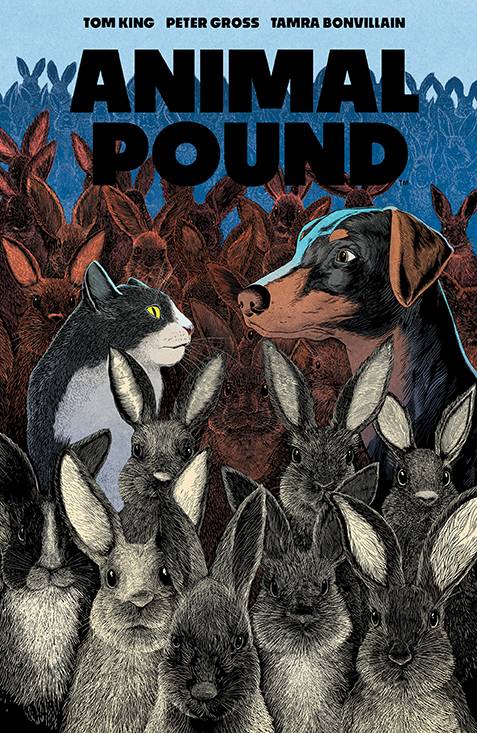 BOOM! STUDIOS Comic Books ANIMAL POUND #4 (OF 5) CVR A GROSS (MR) 84428401028304011 APR240088