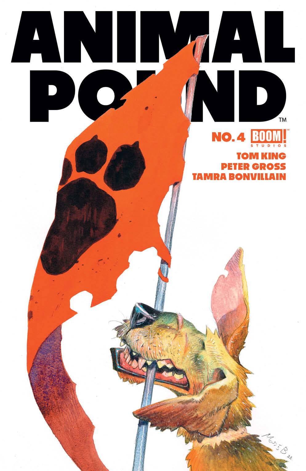 BOOM! STUDIOS Comic Books ANIMAL POUND #4 (OF 5) CVR D FOC REVEAL (MR) 84428401028304041 APR240091