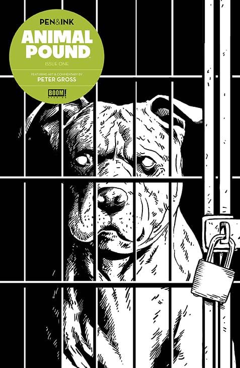 Boom! Studios Comic Books ANIMAL POUND PEN & INK #1 CVR A GROSS (MR) 84428401179201011 AUG240052