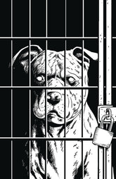 Boom! Studios Comic Books > Incentives ANIMAL POUND CVR B ASHCAN UNLOCKABLE GROSS 84428401028300021 SEP230038