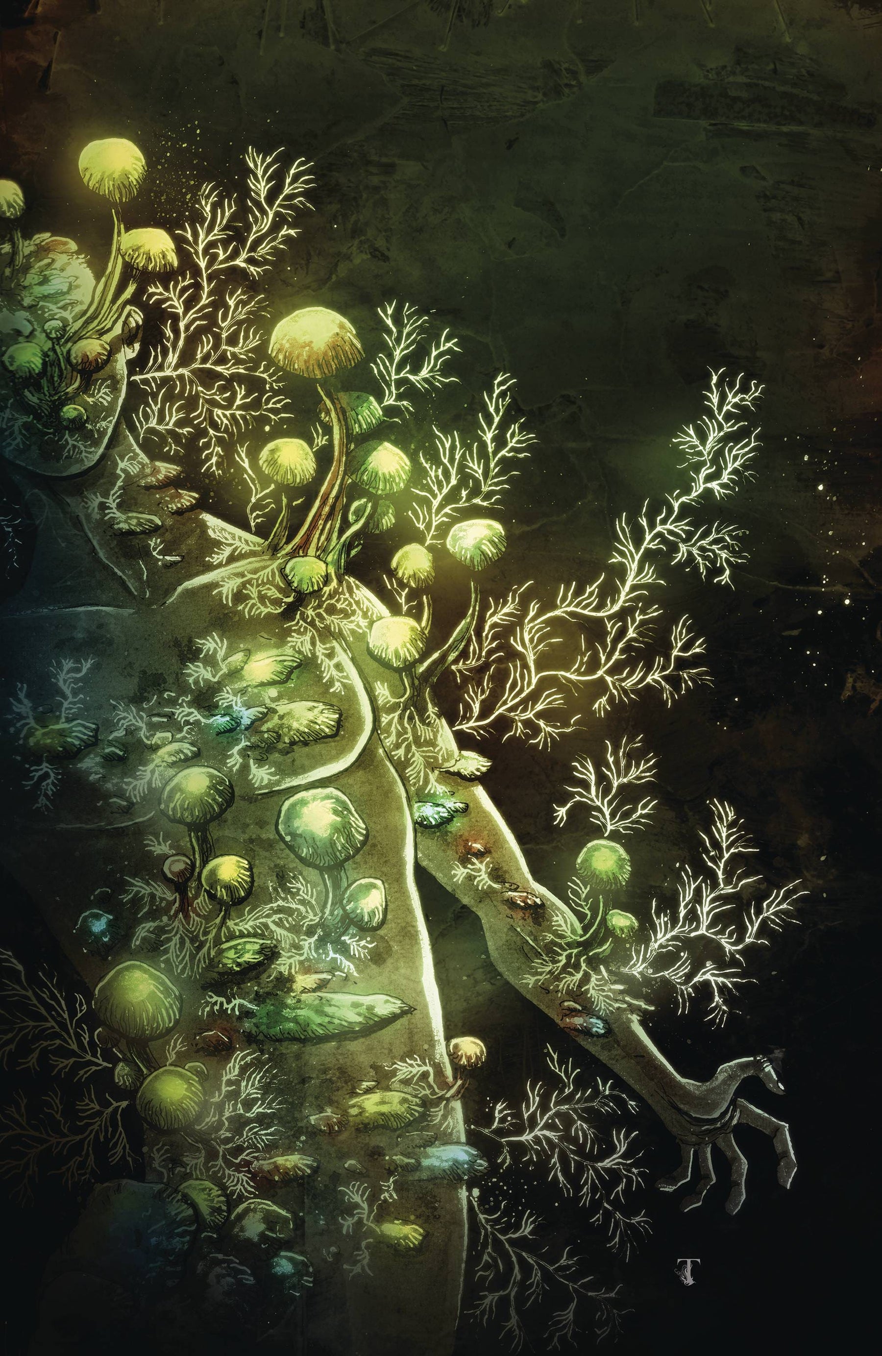 IN BLOOM #4 (OF 5) CVR C 1:10 INCV TEMPLESMITH