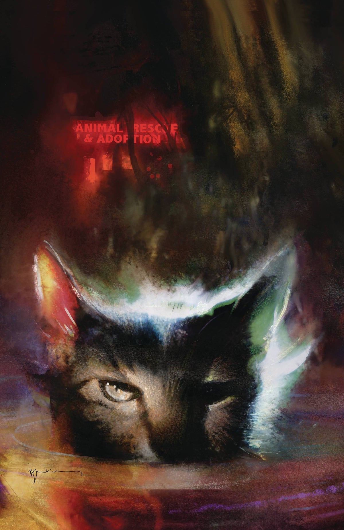 Boom! Studios Comic Books > Incentives > Signed ANIMAL POUND #1 (OF 4) CVR D 1:50 INCV SIENKIEWICZ (MR) [SIGNED BY TOM KING] 02491132 TE-OCT230012-SIGNED