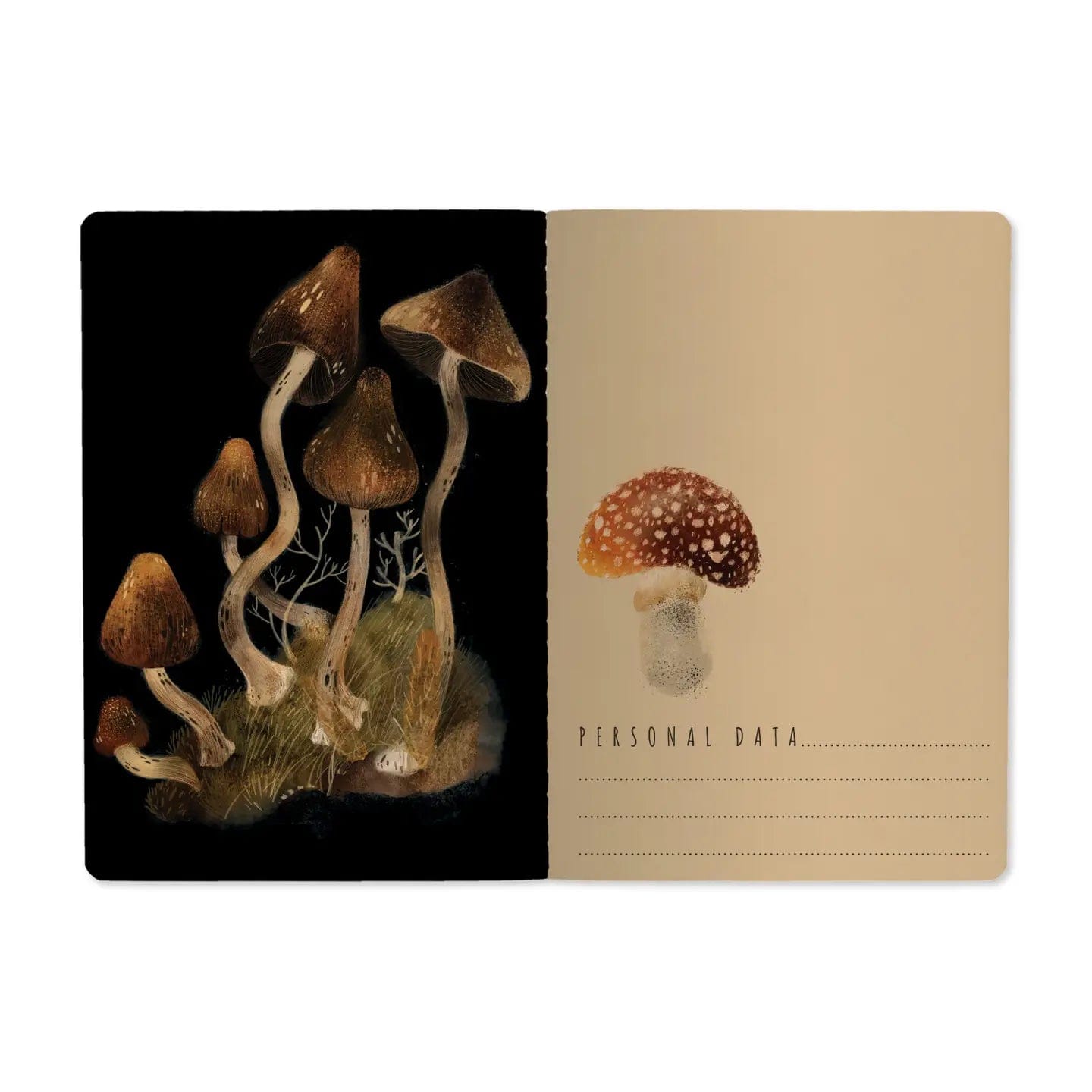 BV by Bruno Visconti (Faire) Stationery > Notebooks Forest Mushrooms Notebook 5056498469039 7-40-505/52