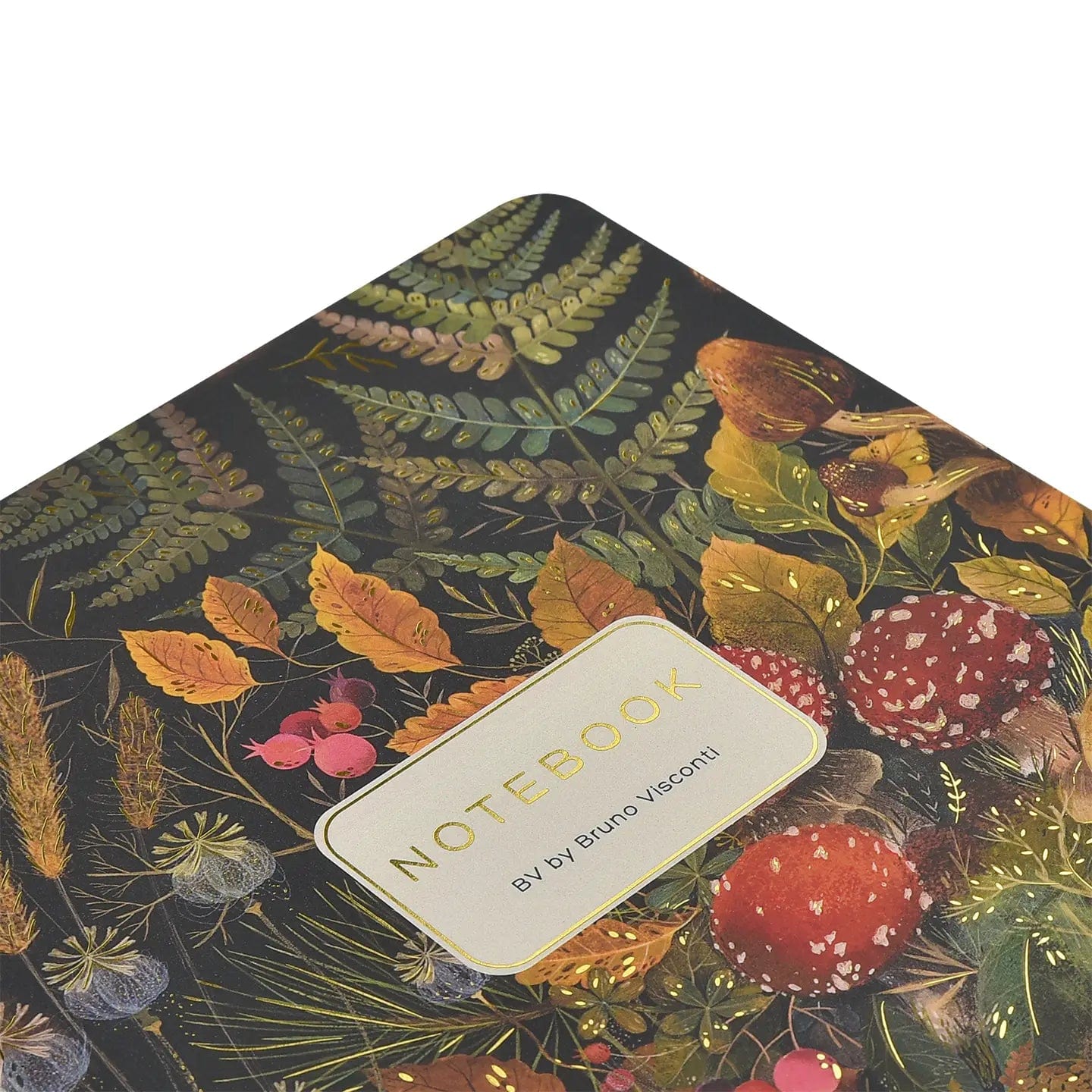 BV by Bruno Visconti (Faire) Stationery > Notebooks Forest Mushrooms Notebook 5056498469039 7-40-505/52
