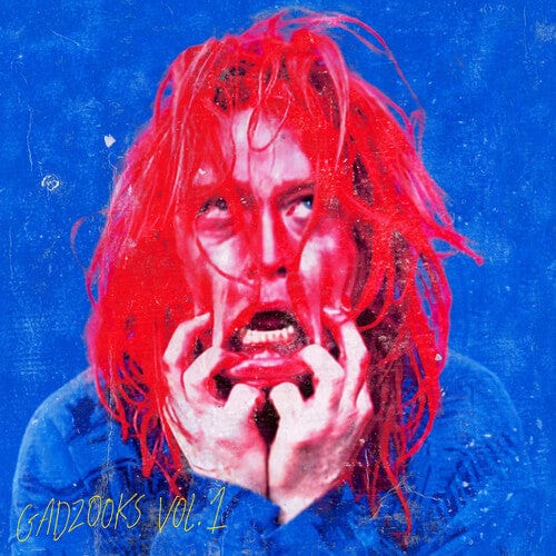 Caleb Landry Jones Music > Vinyl Records Caleb Landry Jones - Gadzooks Vol. 1 - Red Vinyl 843563140833 SBON2790.1