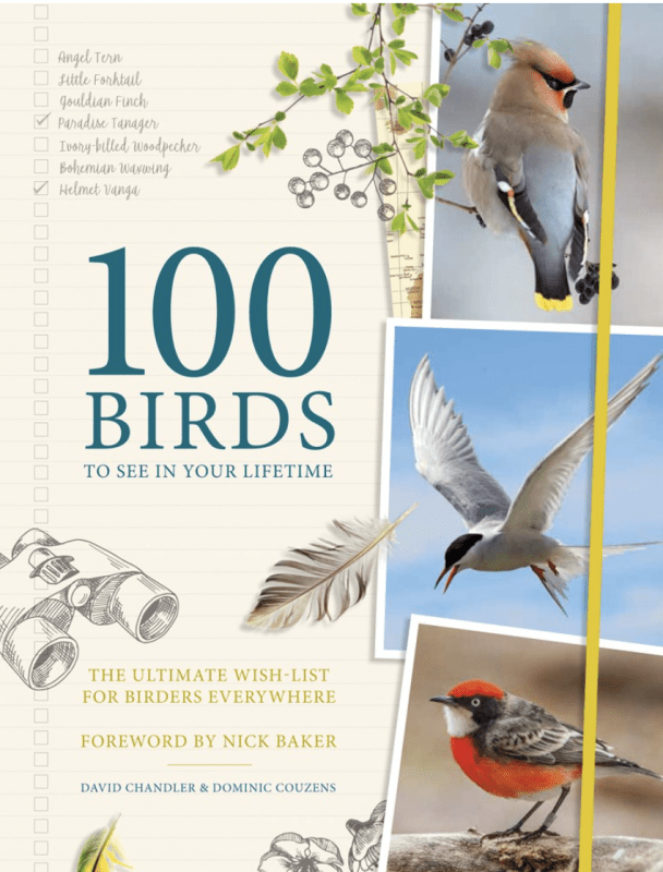 100 Birds to See in Your Lifetime: The Ultimate Wish-List for Birders Everywhere (Hardcover)