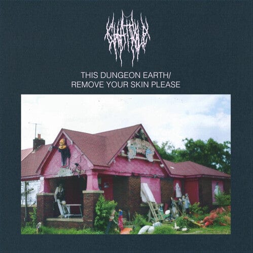 Chat Pile Music > Vinyl Records Chat Pile - This Dungeon Earth /  Remove Your Skin Please (Colored Vinyl) 657628443308 FLS151C.1