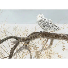 Cobble Hill Puzzles > Jigsaw Puzzles Fallen Willow - Snowy Owl (500 Piece Puzzle) 625012450508 45050