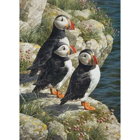 Cobble Hill Puzzles > Jigsaw Puzzles Fisherman's Wharf (500 Piece Puzzle) 625012450522 45052