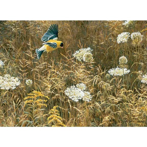 Cobble Hill Puzzles > Jigsaw Puzzles Queen Anne's Lace and American Goldfinch (500 Piece Puzzle) 625012450874 45087