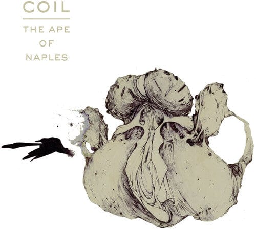 Coil - Ape Of Naples, White