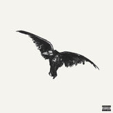 Conan Gray Music > Vinyl Records Conan Gray - Kid Krow Decomposed [Explicit Content] (Limited Edition, Colored Vinyl, Black, White) 602478119231 RPBL171446.1