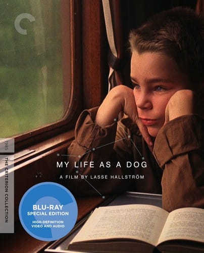 Criterion Collection Movies > Blu-Ray BR: My Life as a Dog (Criterion Collection) 715515086219 CCIN2053BR