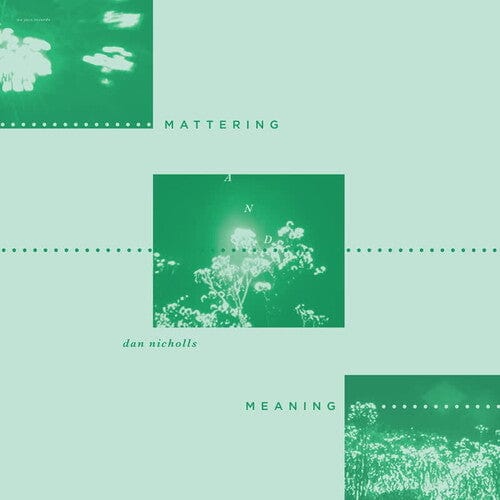 Dan Nicholls Music > Vinyl Records Nicholls,Dan - Mattering And Meaning 5050580765375 WEJZ35.1