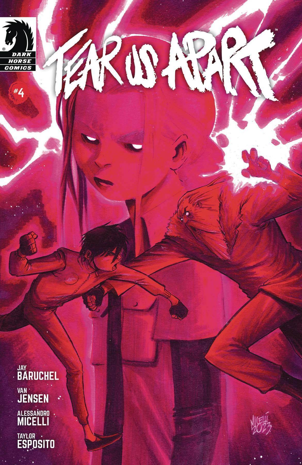 Dark Horse Comic Books TEAR US APART #4 76156801080000411 OCT231252
