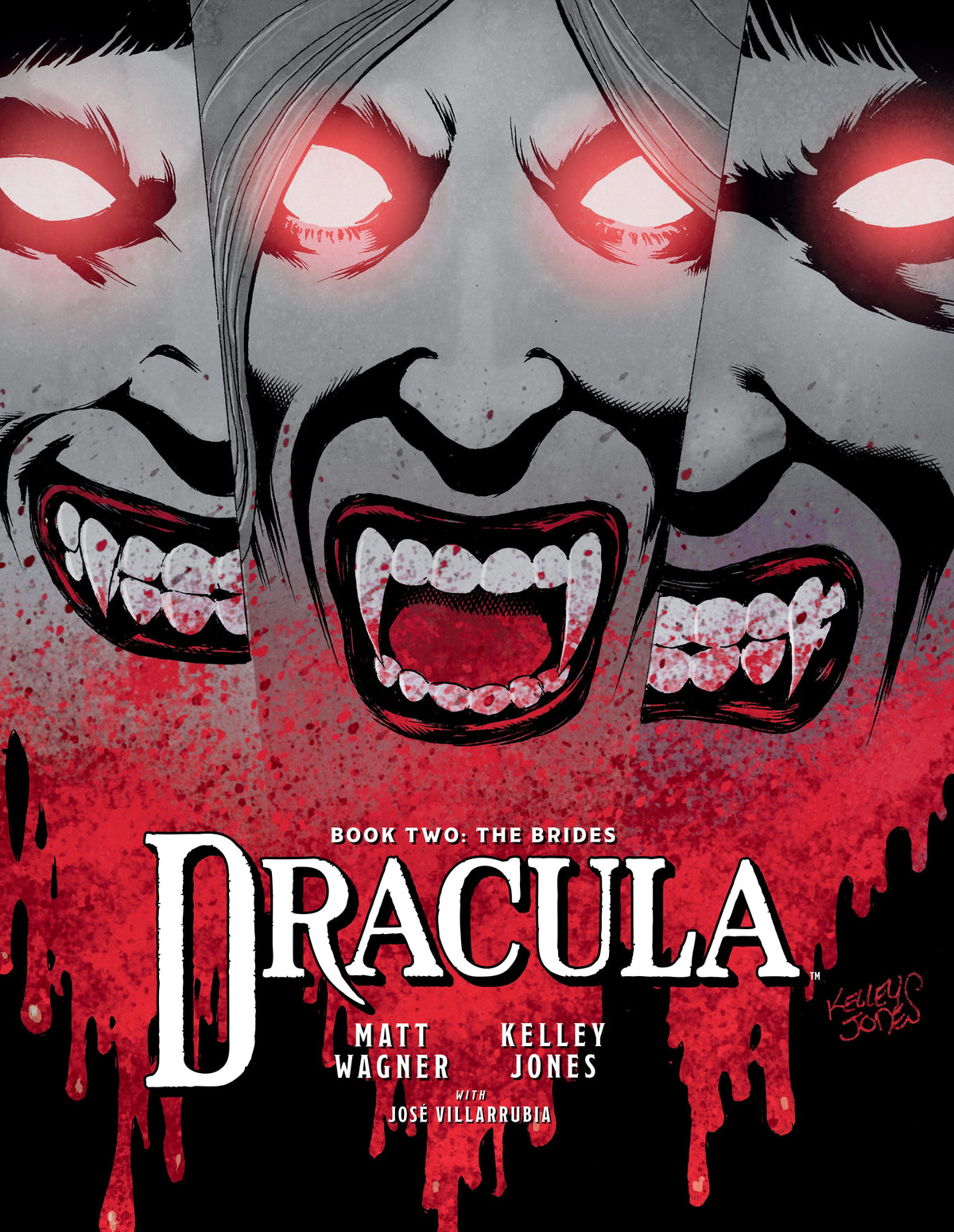 Dark Horse Comics Graphic Novel Dracula Book 2: The Brides 9781506750620 PRH-9781506750620