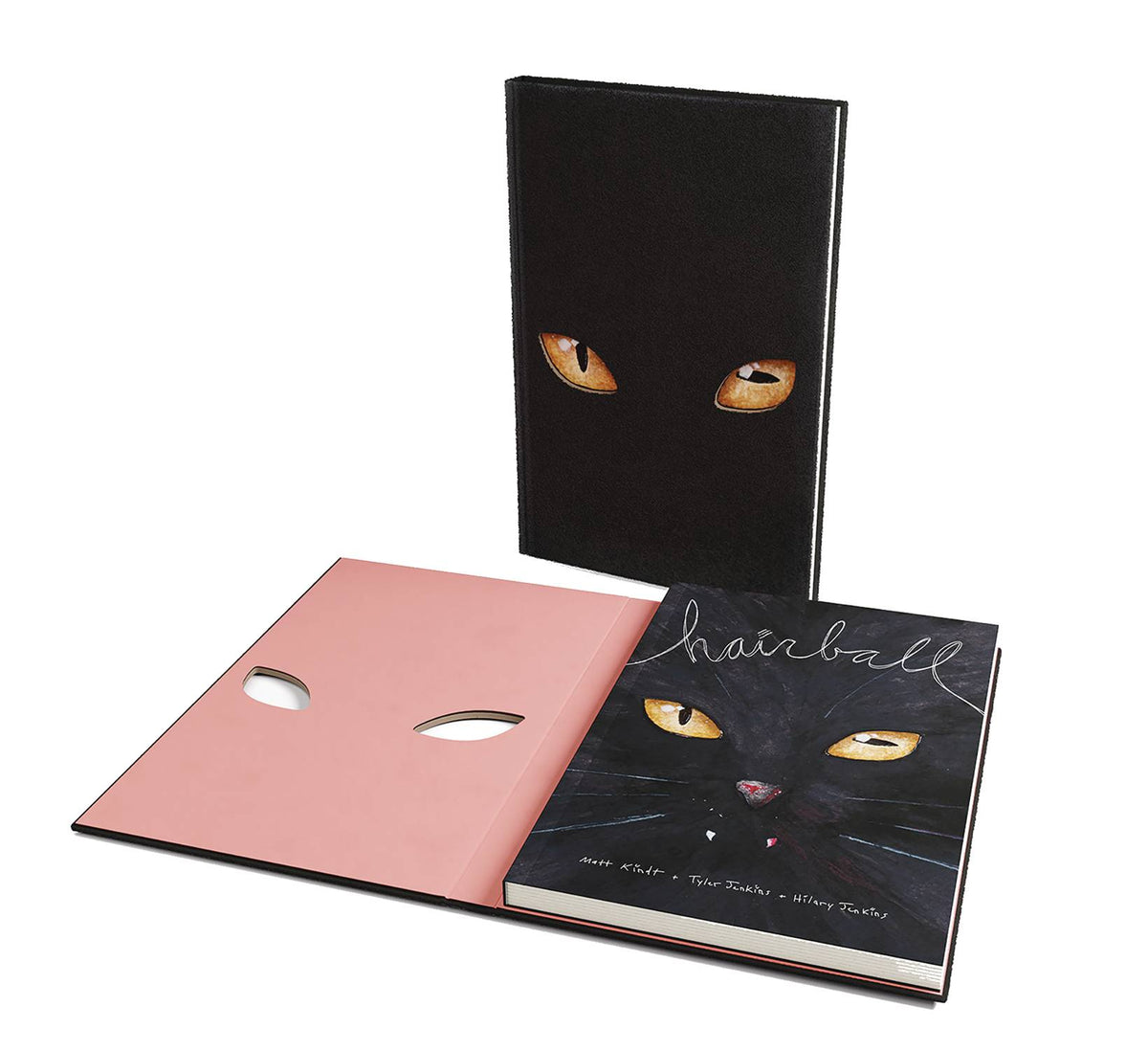 DARK HORSE PRH Graphic Novel Hairball HC 9781506734613 JUL231143