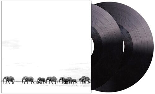 Dave Matthews Music > Vinyl Records Dave Matthews - Where Are You Going: The Singles 198028293617 SNYL82936.1