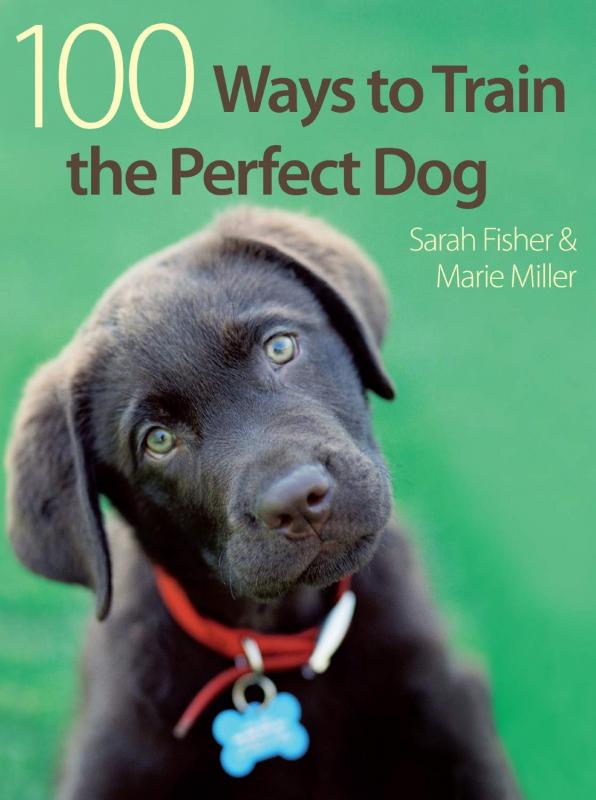 David & Charles Books > Art & Gifts > Pets 100 Ways To Train The Perfect Dog - Paperback 9780715329412 MC-28074