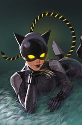 DC Comics Comic Books ABSOLUTE CATWOMAN #2 (OF 6) CVR B LESLEY LEIRIX LI CARD STOCK VAR 76194139423700221 0526DC0022