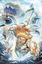 DC Comics Comic Books AQUAMAN #1 CVR D BRAD WALKER DEEP SEA ULTRA GLOSS VAR / FOIL 76194138869400171 1124DC049