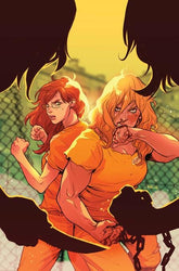DC Comics Comic Books BARBARA GORDON BREAKOUT #4 CVR A KARL KERSCHL (Release Date: 08/12/2026) 76194139424400411 0626DC0054