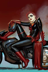DC Comics Comic Books BATWOMAN #4 CVR B STJEPAN SEJIC CARD STOCK VAR 76194139217200421 0426DC0047