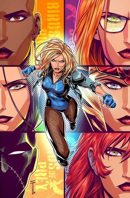 DC Comics Comic Books BIRDS OF PREY #15 CVR C SERG ACUNA CARD STOCK VAR 76194138012401531 0924DC106