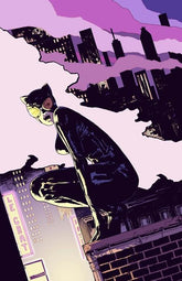 DC Comics Comic Books CATWOMAN #94 CVR D CHLOE BRAILSFORD CARD STOCK VAR (Release Date: 12/16/2026) 76194135682209441 1026DC0082