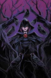 DC Comics Comic Books DCS QUOTH THE RAVEN WHATEVER #1 (ONE SHOT) CVR A SWEENEY BOO (Release Date: 09/30/2026) 76194139622400111 0726DC0180