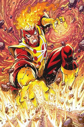 DC Comics Comic Books FURY OF FIRESTORM #3 (OF 8) CVR B TODD NAUCK CARD STOCK VAR 76194139145800321 0426DC0056