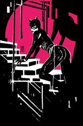 DC Comics Comic Books > Incentives CATWOMAN #59 CVR D INC 1:25 DANI CARD STOCK VAR 76194135682205941 0923DC095