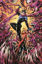 DC Comics Comic Books > Incentives NIGHTWING #129 CVR D INC 1:25 SERG ACUNA CARD STOCK VAR 76194134174312941 0625DC115