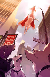 DC Comics Comic Books KRYPTO THE LAST DOG OF KRYPTON #4 (OF 5) CVR B KARL KERSCHL CARD STOCK VAR 76194138865600421 0725DC078