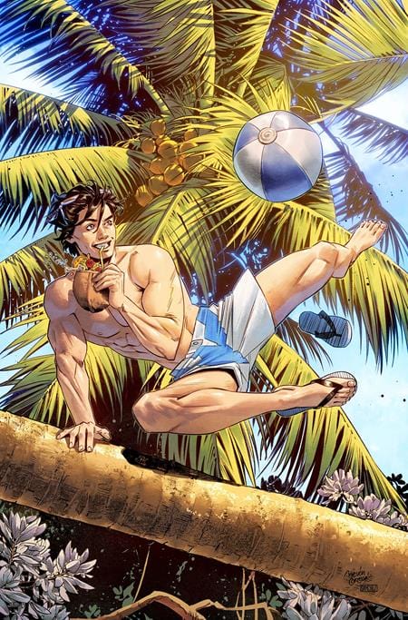 DC Comics Comic Books NIGHTWING #117 CVR E BELEN ORTEGA SWIMSUIT CARD STOCK VAR 76194134174311761 0624DC089