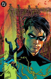 DC Comics Comic Books NIGHTWING #142 CVR D DAN PANOSIAN BAD SEEDS SPOT FOIL VAR (BATMAN BAD SEEDS) (Release Date: 09/16/2026) 76194134174314241 0726DC0114