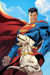 DC Comics Comic Books SUPERMAN UNLIMITED #3 CVR D RYAN BENJAMIN CARD STOCK VAR 76194139077200351 0525DC076